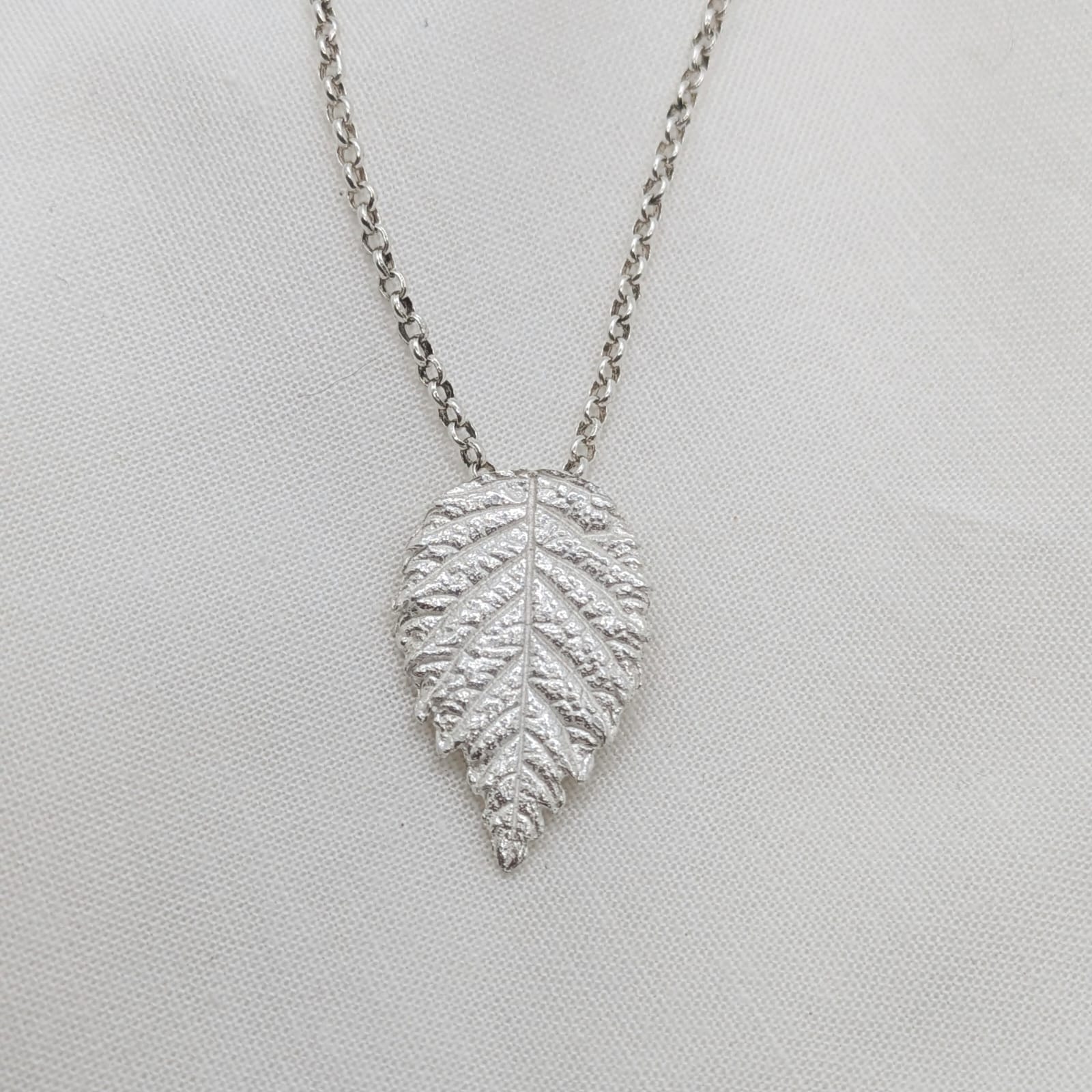 WhatsApp Image 2025-11-30 at 5.47.37 PM(1)